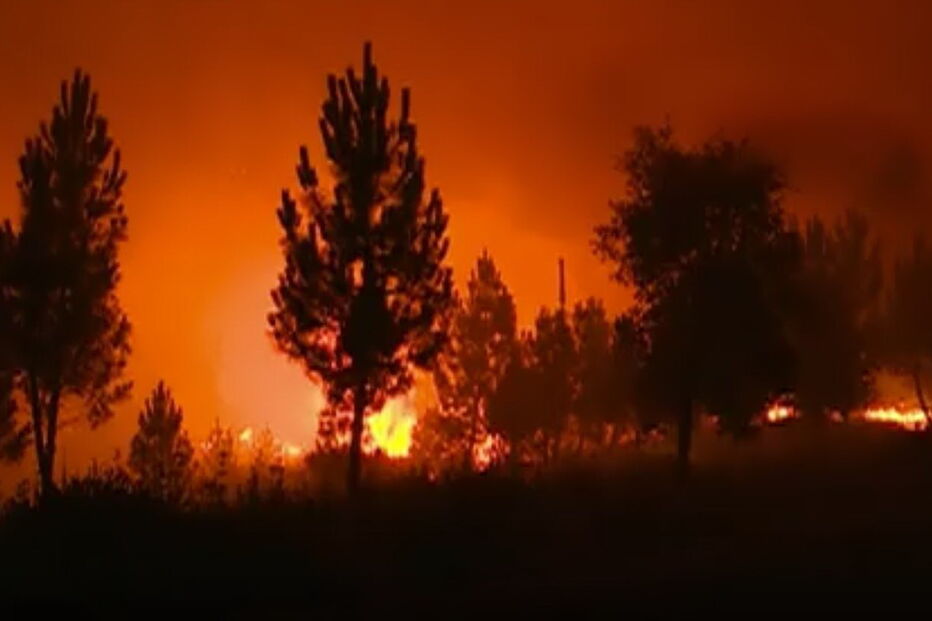 Presidente da Câmara de Mação reage aos incêndios que estão a deflagrar no concelho 