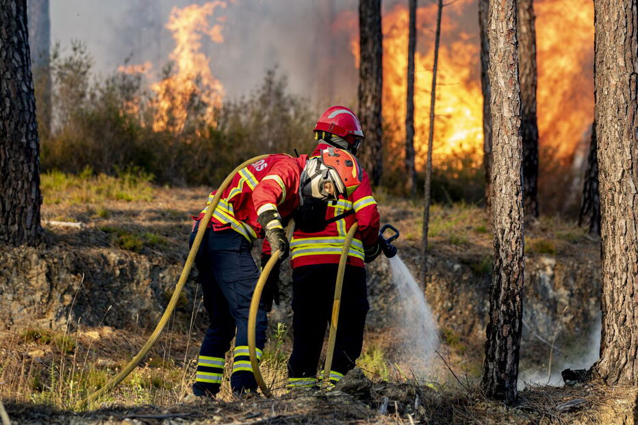 Incêndio florestal em Vila de Rei