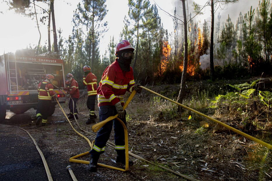 Incêndio florestal em Vila de Rei