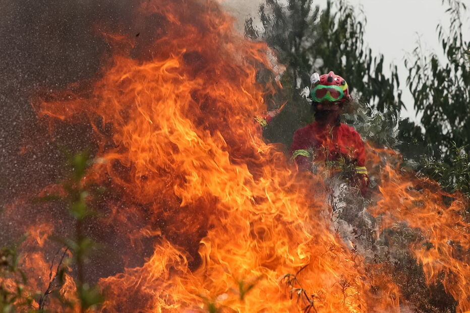 Incêndio em Mação