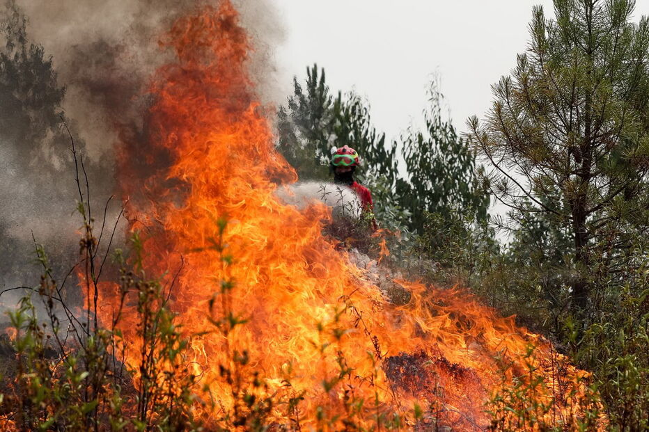 Incêndio em Mação