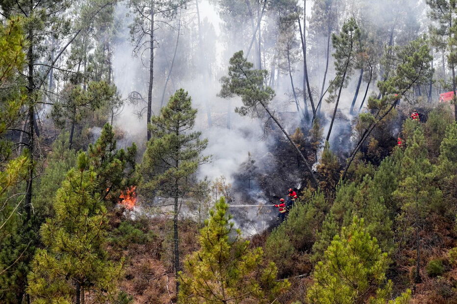 Incêndio em Mação