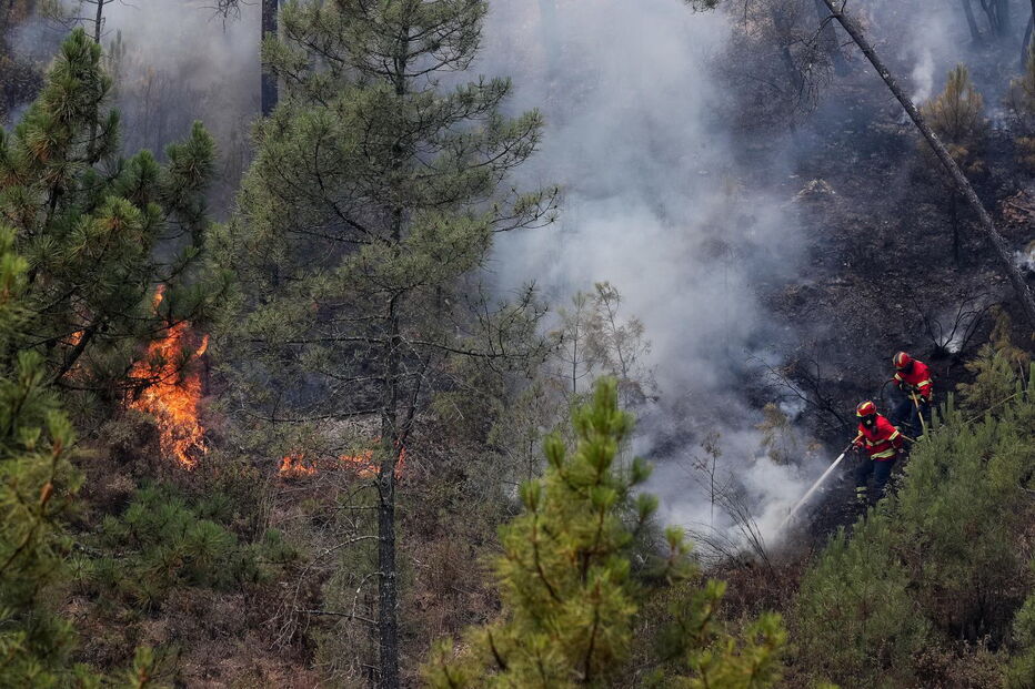 Incêndio em Mação