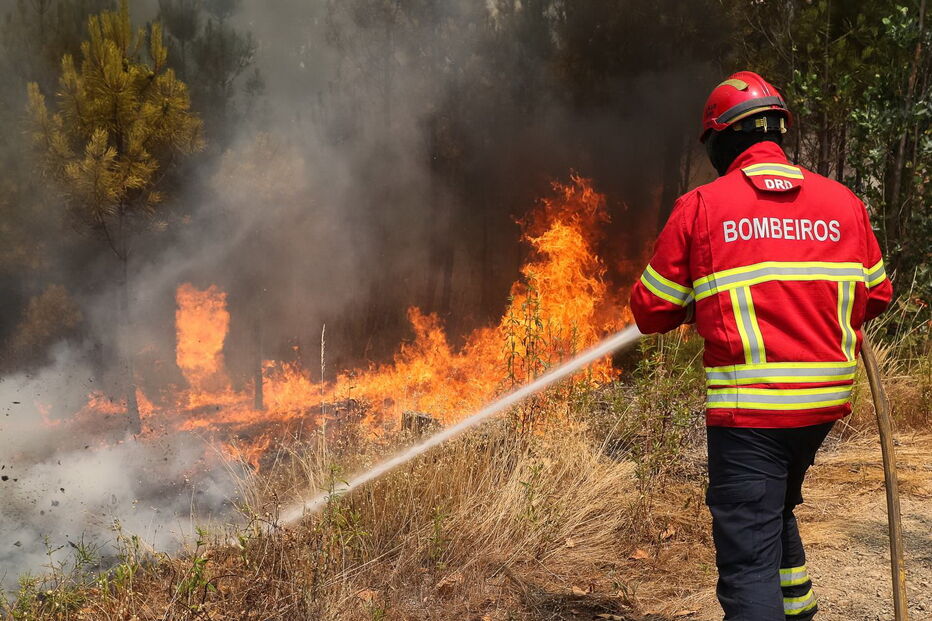 Incêndio em Mação
