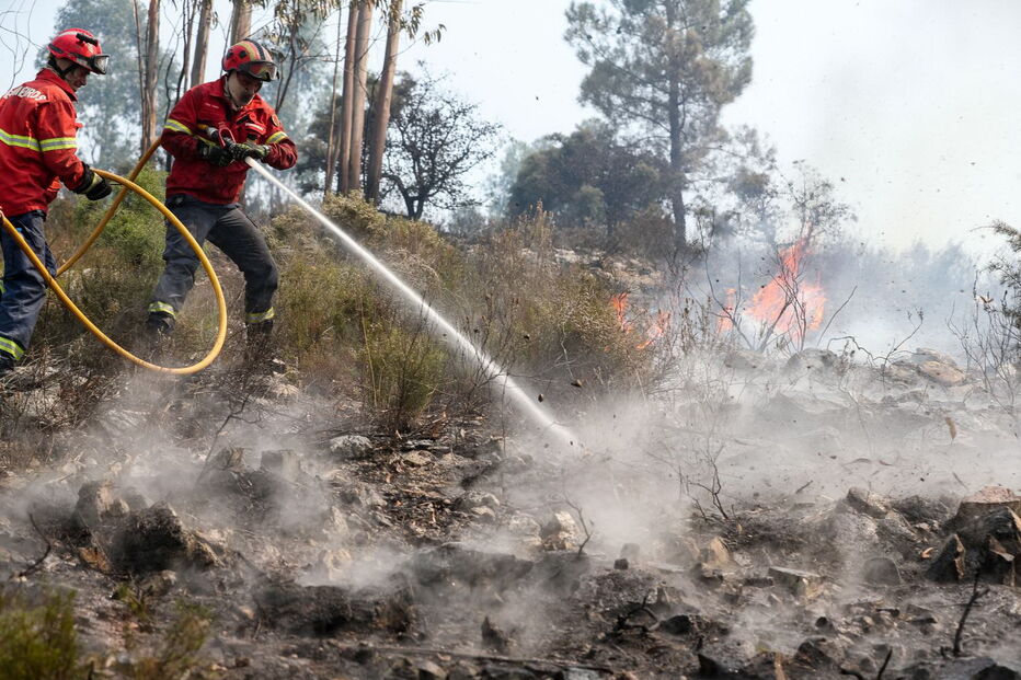 Incêndio em Mação