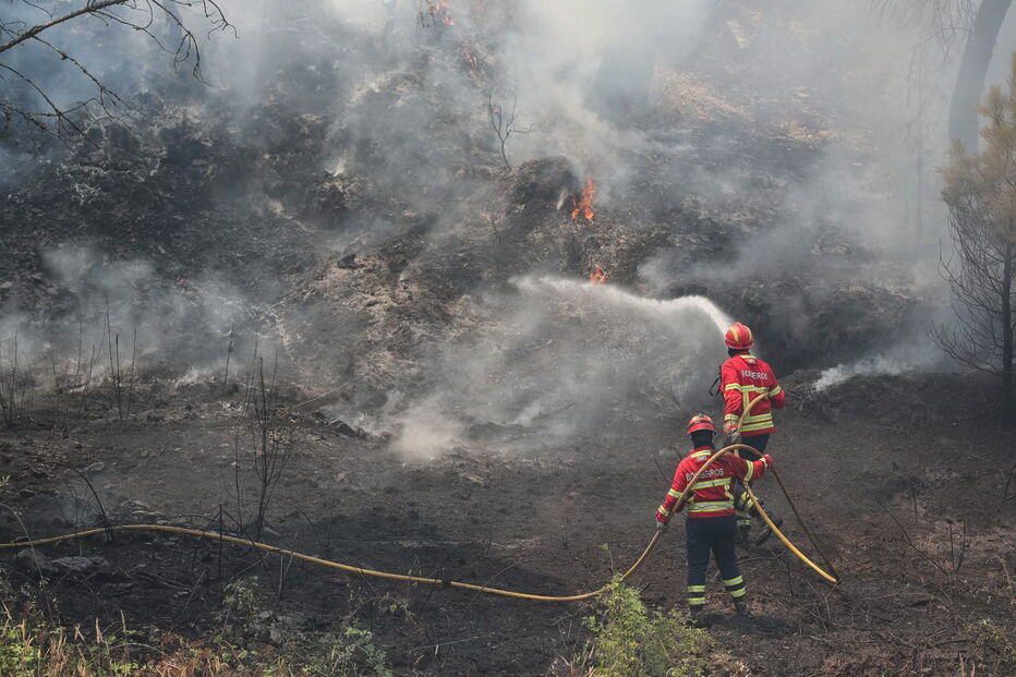 Incêndio em Mação