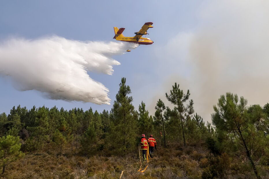 Incêndio em Mação