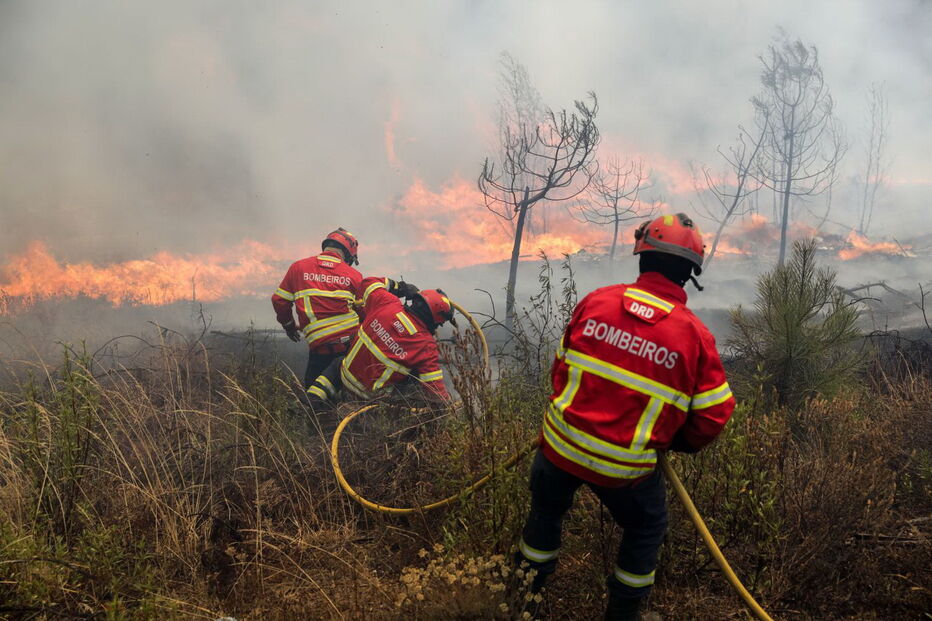 Incêndio em Mação