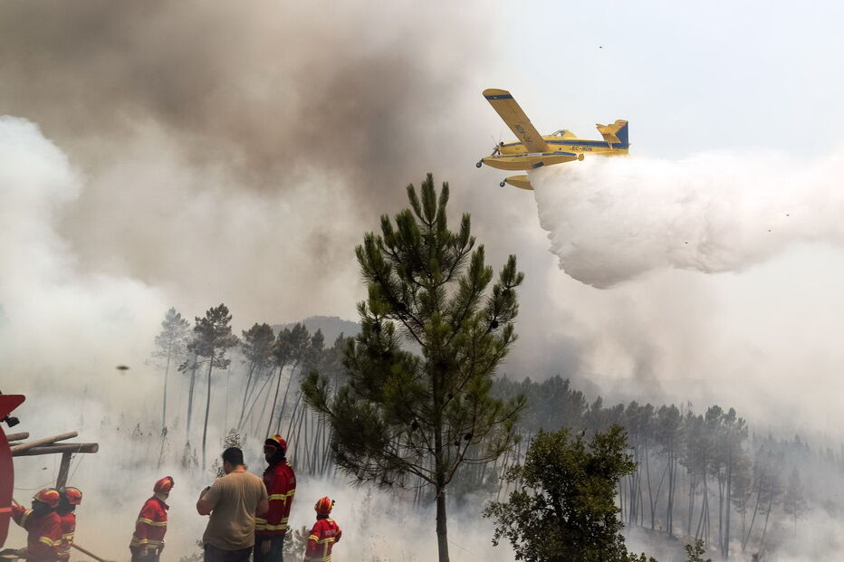 Incêndio em Mação