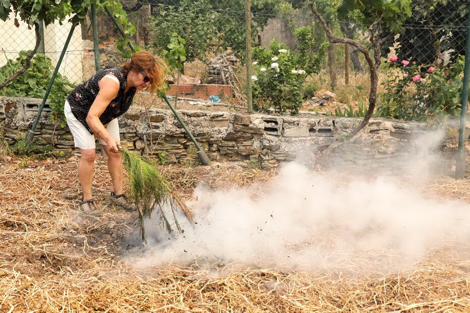 Incêndio em Mação