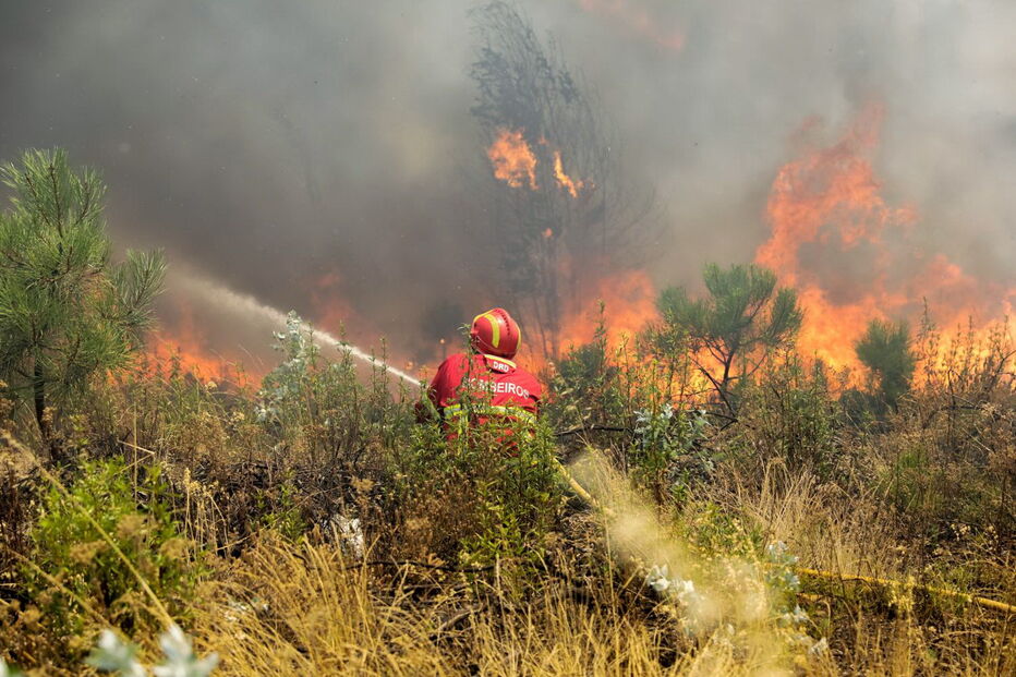Incêndio em Mação