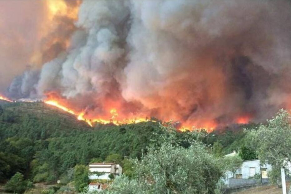 Incêndio no concelho de Mação