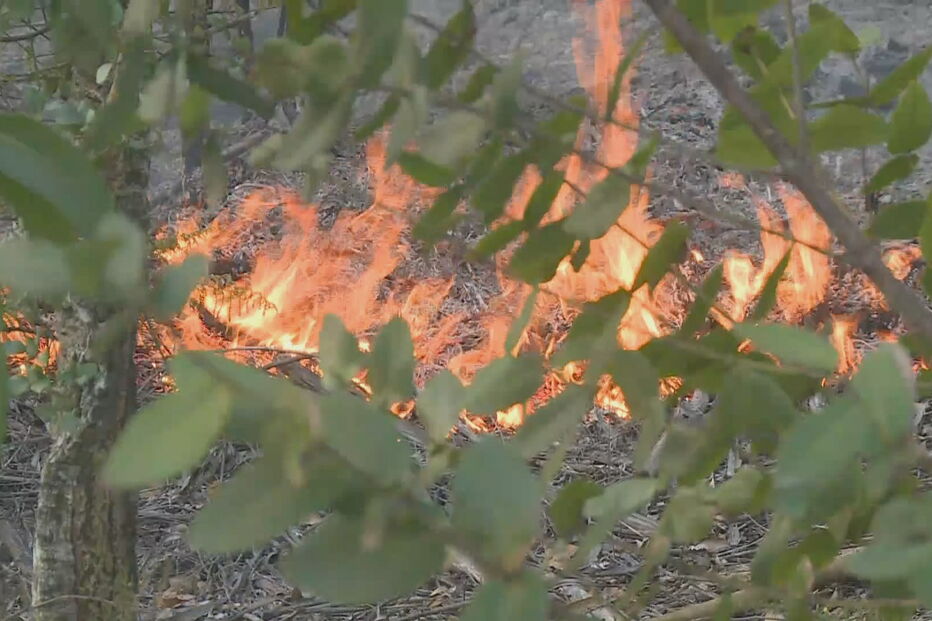 Incêndio em Castelo Branco