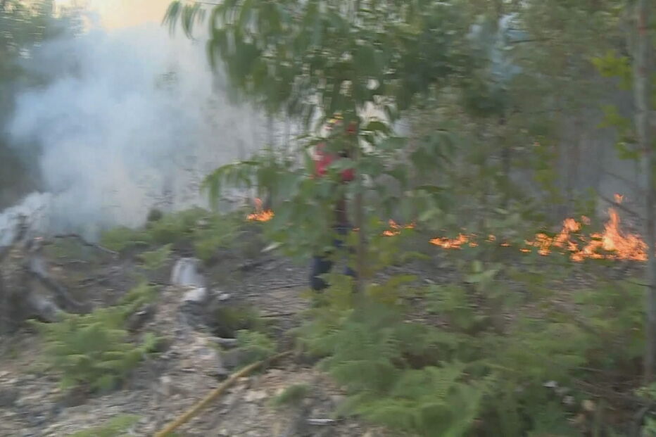 Incêndio em Castelo Branco