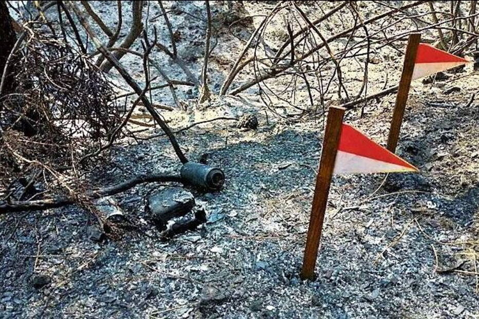 Artefactos explosivos encontrados pela PJ nos locais afetados pelo fogo em Castelo Branco