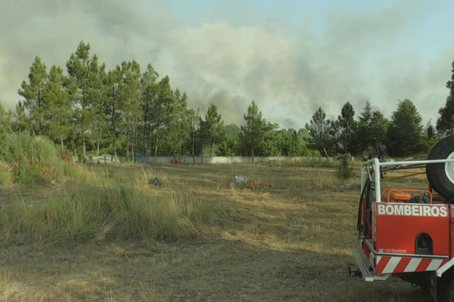 Mais de 150 bombeiros combatem incêndio em Viseu