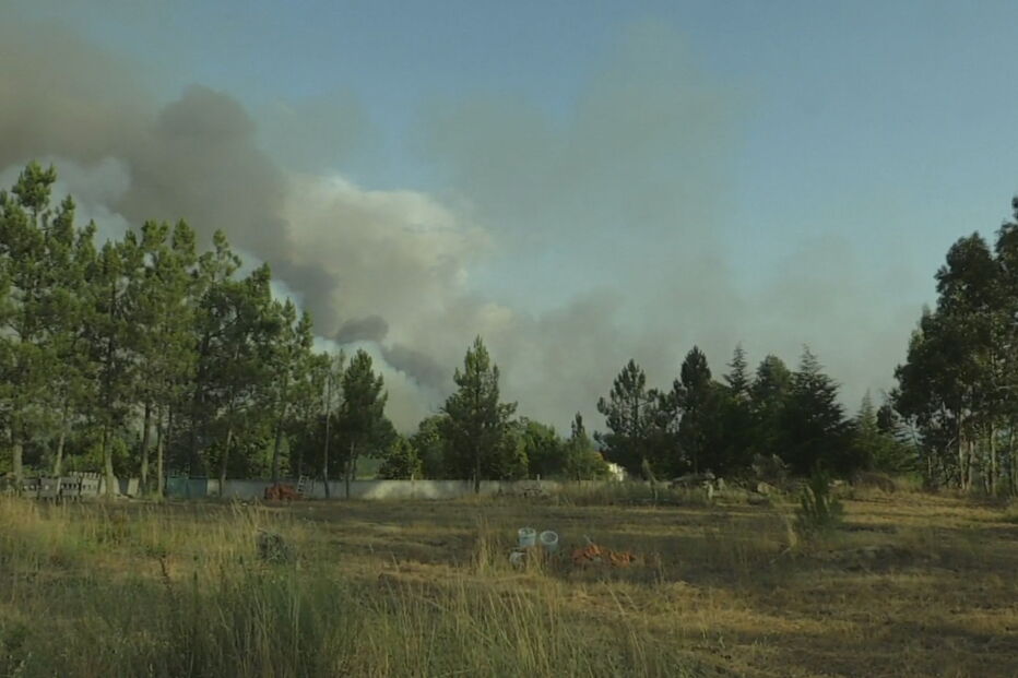 Mais de 150 bombeiros combatem incêndio em Viseu