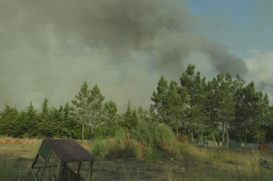 Mais de 150 bombeiros combatem incêndio em Viseu