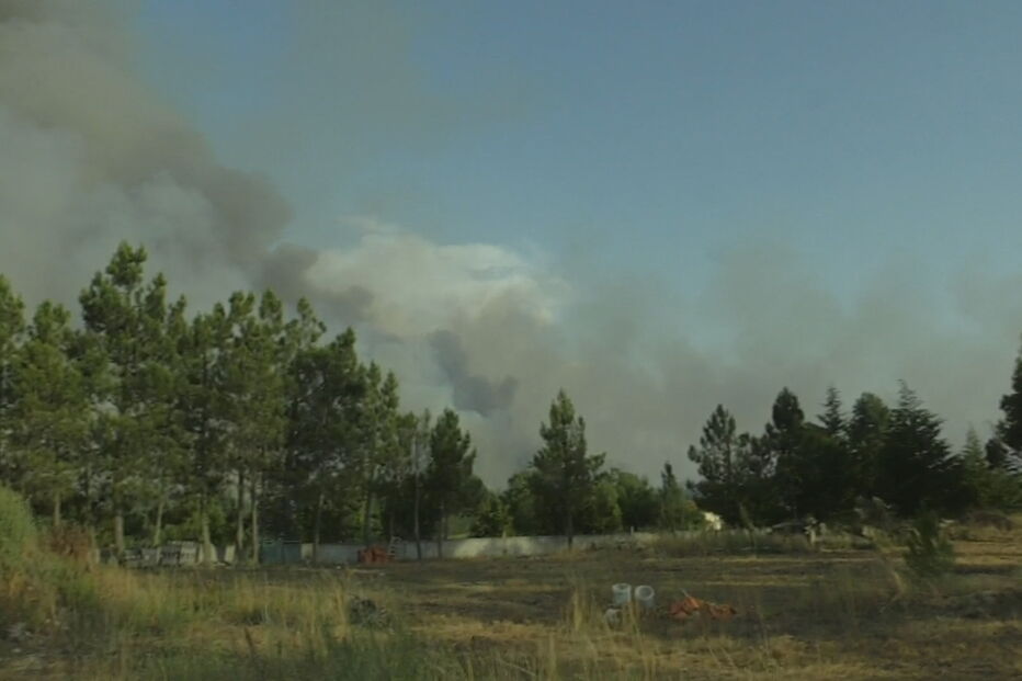 Mais de 150 bombeiros combatem incêndio em Viseu