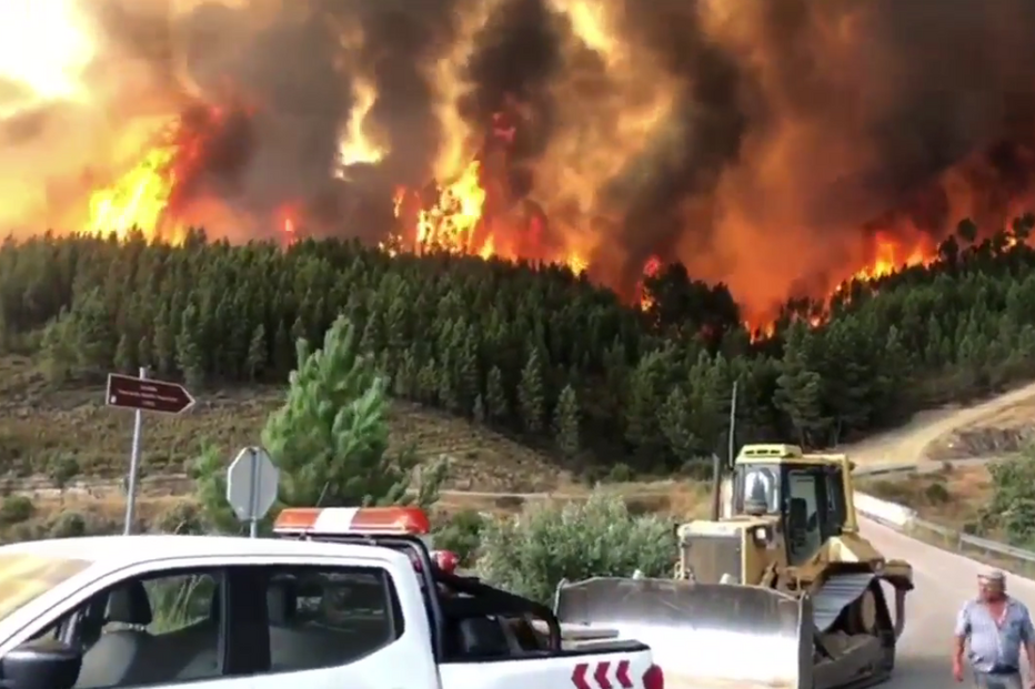 Muralha de chamas sem controlo ameaça população em Mação
