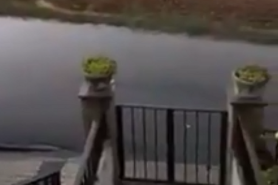 A menos de 150 quilómetros dos incêndios de Viseu há chuva torrencial e inundações. Veja as imagens