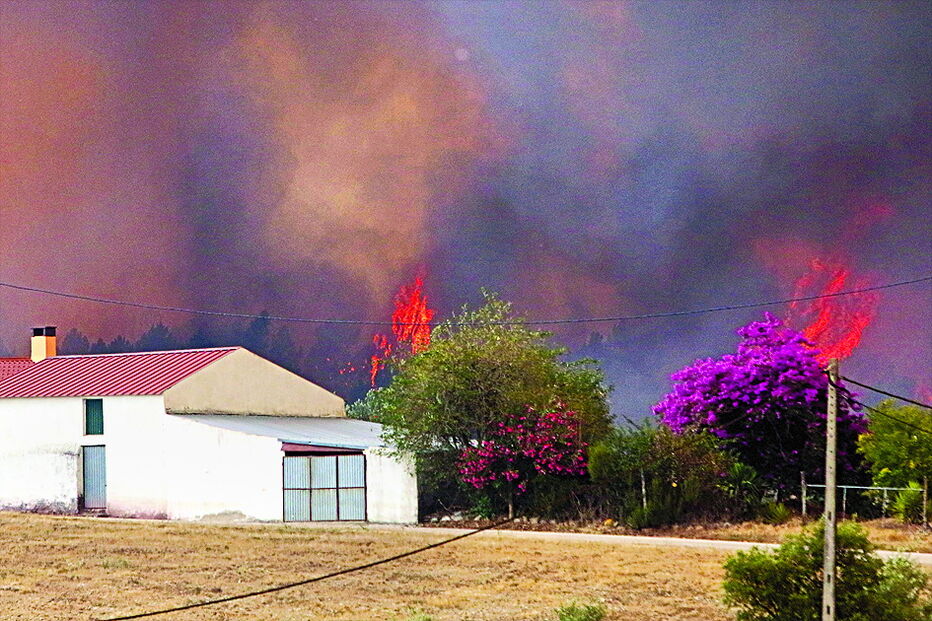 Muralhas de chamas estiveram nos quintais das pessoas, que usaram todos os meios possíveis para impedir que as suas casas ardessem. Drama do incêndio não larga o centro do País 