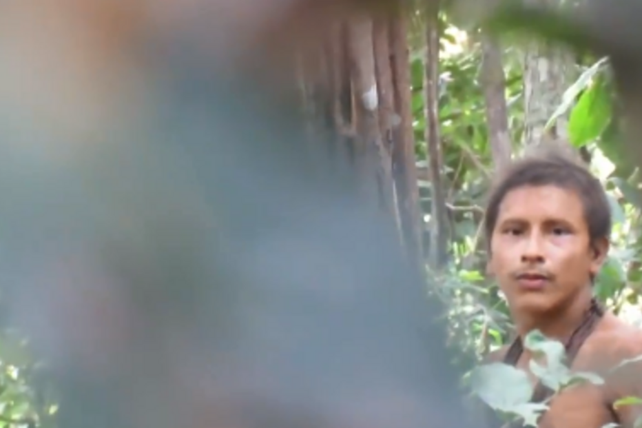 Imagens raras na Amazónia mostram elementos da tribo indígena mais ameaçada do mundo