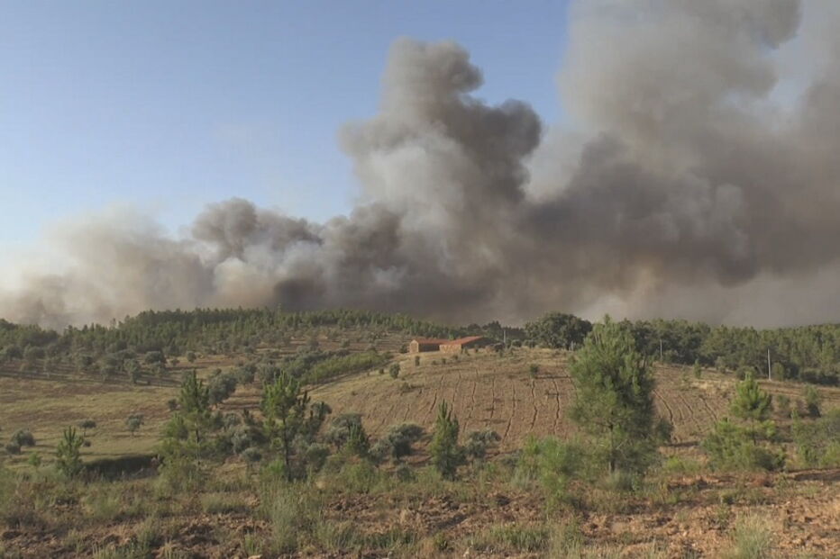 Incêndio em Castelo Branco