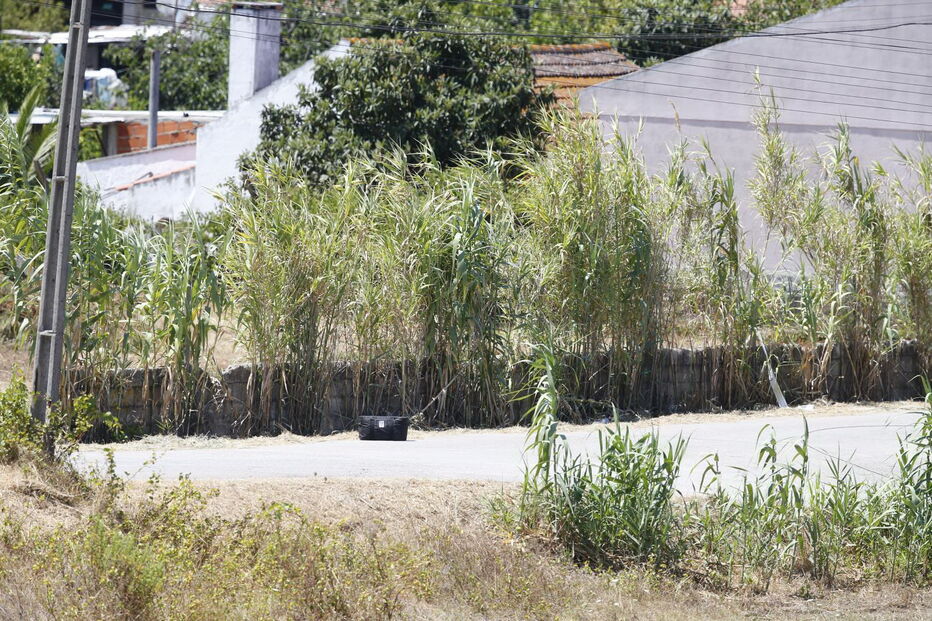 Encontrados engenhos explosivos em caixote de lixo em Coina 