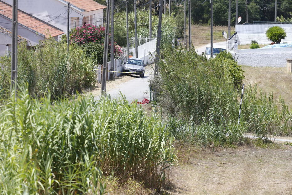 Encontrados engenhos explosivos em caixote de lixo em Coina