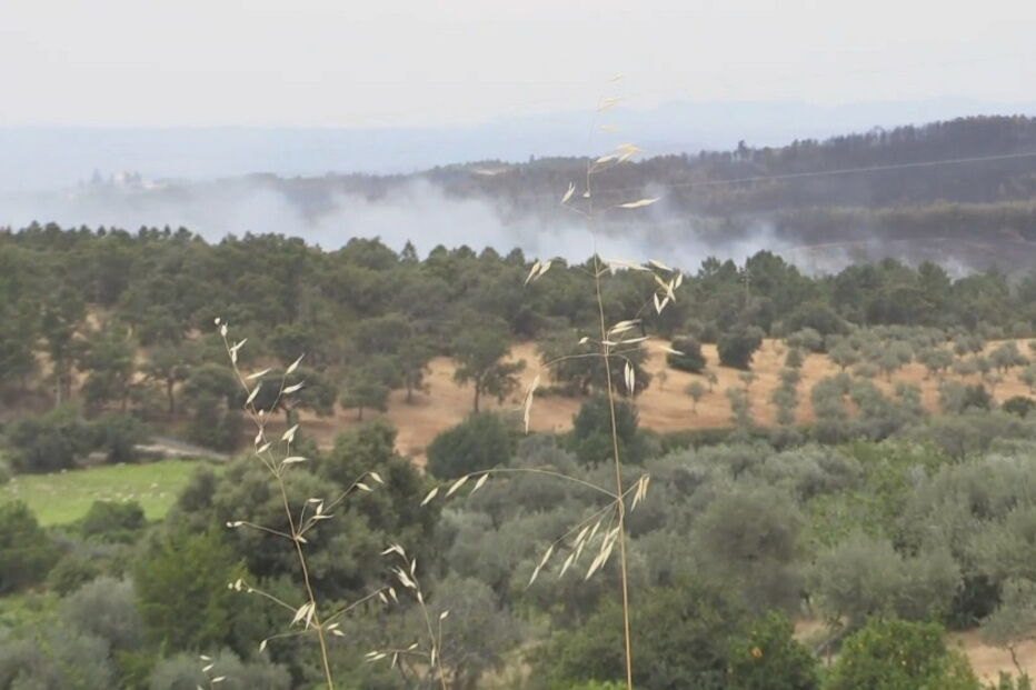 Incêndio em Castelo Branco