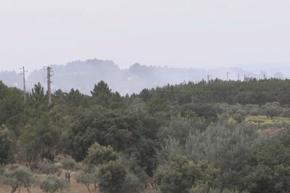 Incêndio em Castelo Branco