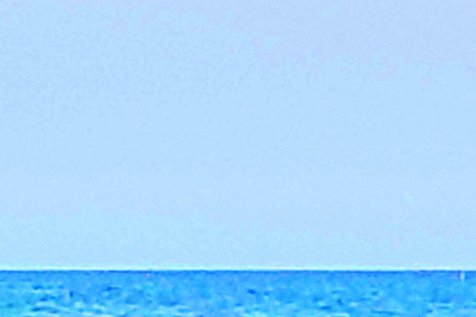 Manuela Moura Guedes