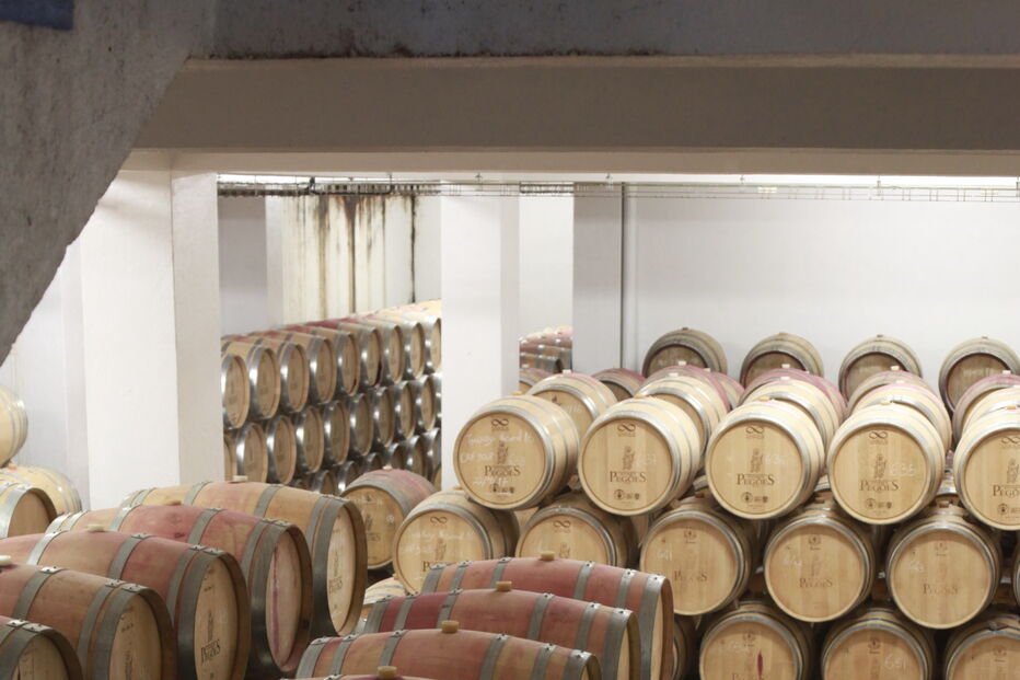 2019-07-26_10_09_38 Foto 4.jpg