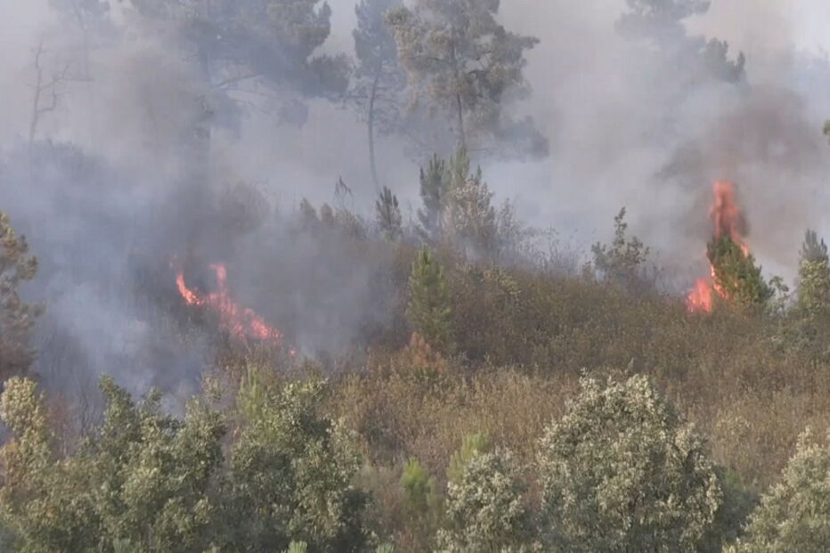 Incêndio em Pêro Viseu, Fundão, em Castelo Branco 