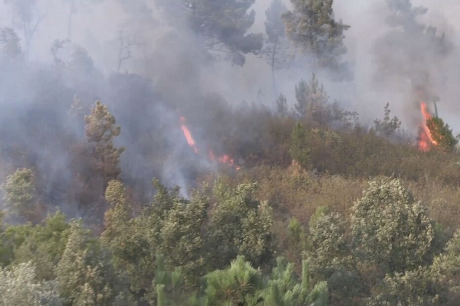 Incêndio em Pêro Viseu, Fundão, em Castelo Branco 