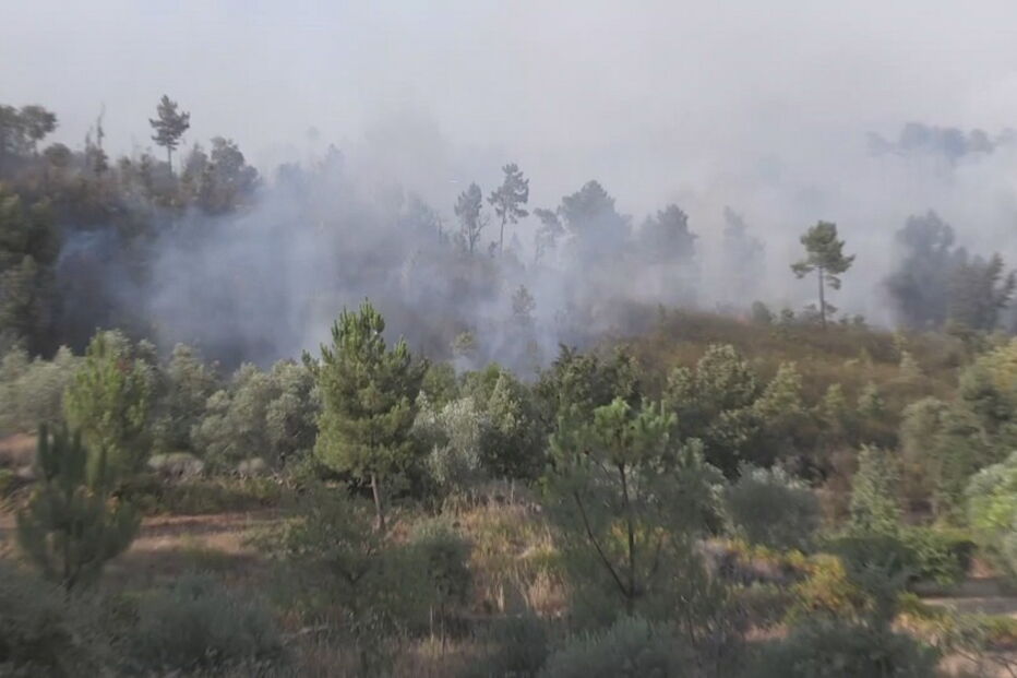 Incêndio em Pêro Viseu, Fundão, em Castelo Branco 