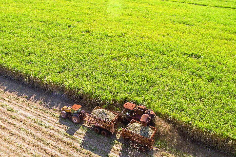 Recursos a utilizar na Terra até ao final do ano são excessivos 