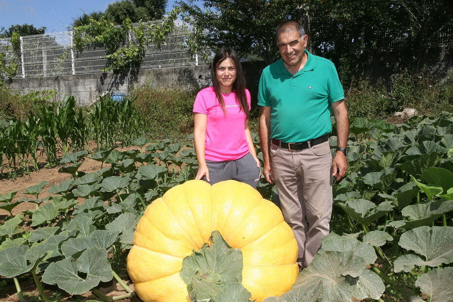 Fernando Santos, presidente da Junta de Aguiar de Sousa, junto da abóbora gigante, protegida do sol por uma barraca  