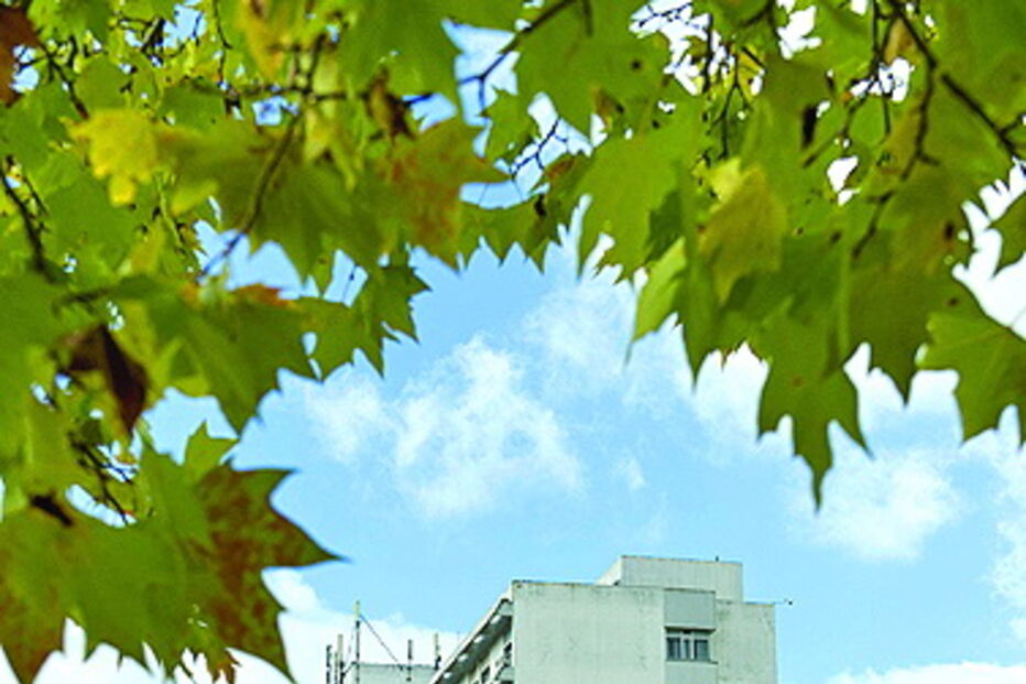 Feridos hospitalizados em Santarém