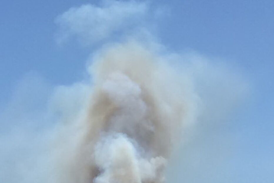 Chamas consomem zona de mato junto a depósito de combustível no Hospital Amadora-Sintra	