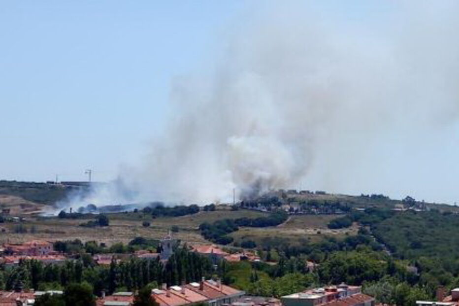 Chamas consomem zona de mato junto a depósito de combustível no Hospital Amadora-Sintra