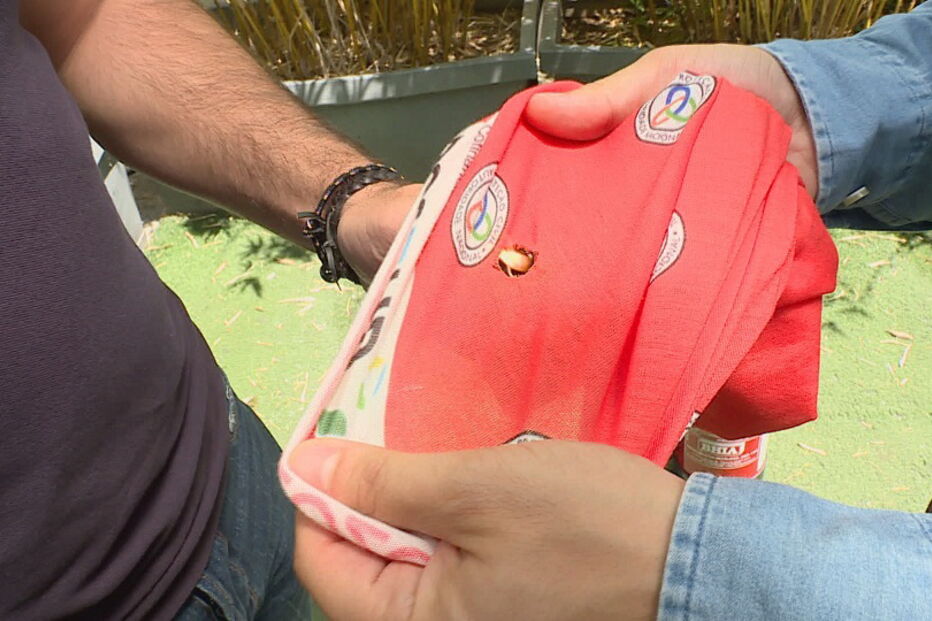 Golas distribuídas nas zonas em risco de incêndio são altamente sensíveis ao fogo