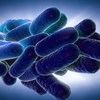 Doentes com Legionella na Madeira estão a melhorar, avançam autoridades de Saúde