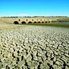 <![CDATA[ Portugal continental em seca meteorológica, mês passado foi o julho mais seco do século ]]>