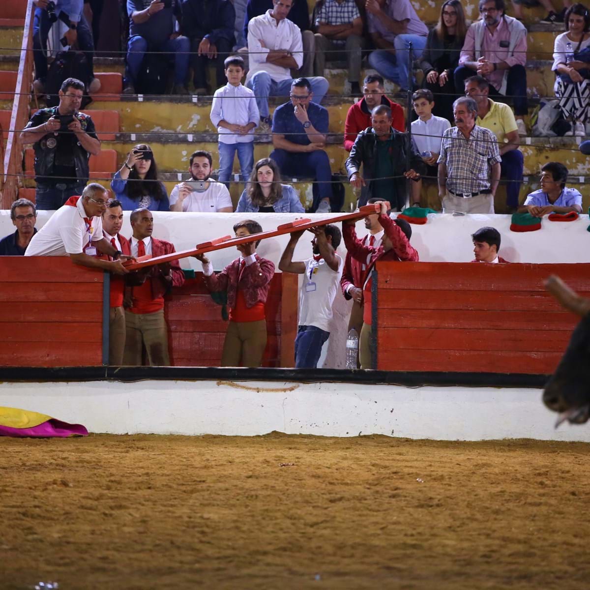 Dez feridos em corrida de touros na Espanha 