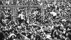 Português ficou a 5 Km do Woodstock