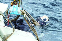 Entrada na água foi o momento alto da operação 