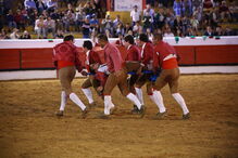 Seis forcados feridos na Corrida de Touros de Tomar