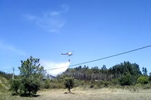 Incêndio em Aljezur mobiliza dois meios aéreos e mais de 80 bombeiros